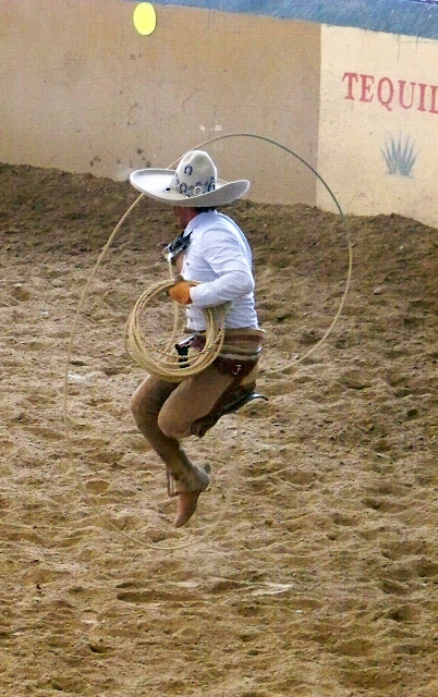 jaripeo