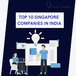 TOP 10 SINGAPORE COMPANIES IN INDIA