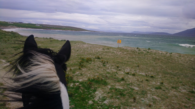 Cu Chulainn looking out to sea