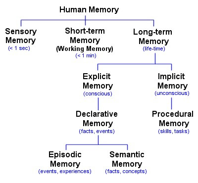 Classification of memory.