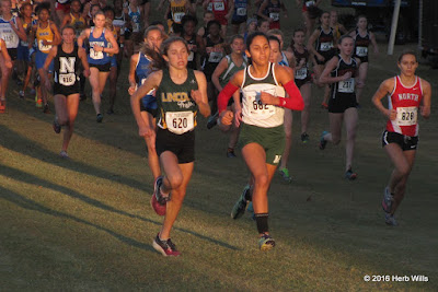 FHSAA 3A Girls' Cross Country Championship