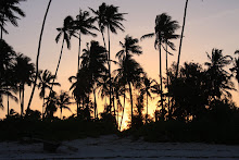 Sunsets