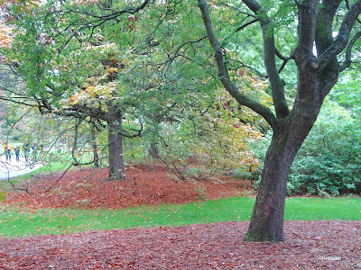 fall in Edinburgh, Scotland