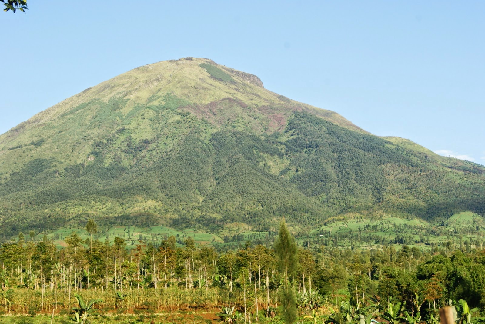 Himbauan Untuk Pendaki Gunung Sindoro