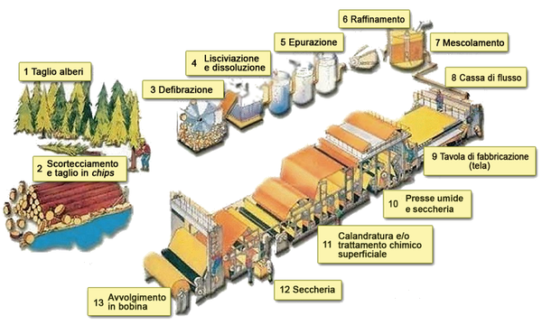 RICERCA SULLA CARTA SCUOLA MEDIA