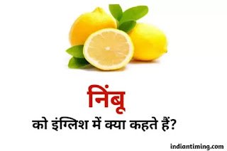 nimbu ko english me kya kehte hai