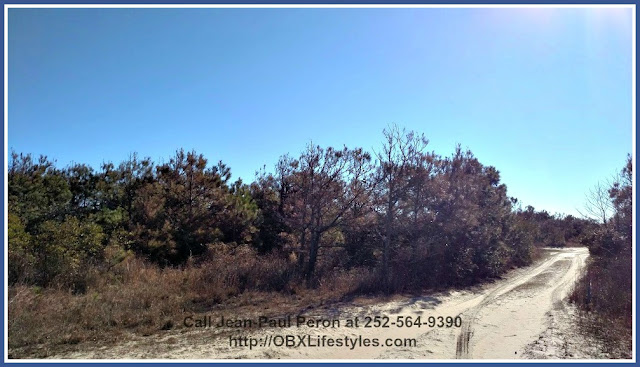 Drive up the sandy roads to this Outer Banks NC lot for sale and be sure to keep an eye out for the stunning Wild Corolla Horses roaming the area.