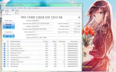 software untuk mengetahui nilai tbw SSD yang telah dipakai