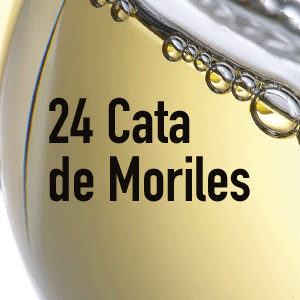 CATA DE MORILES