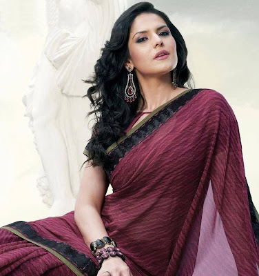 zarine khan in saree