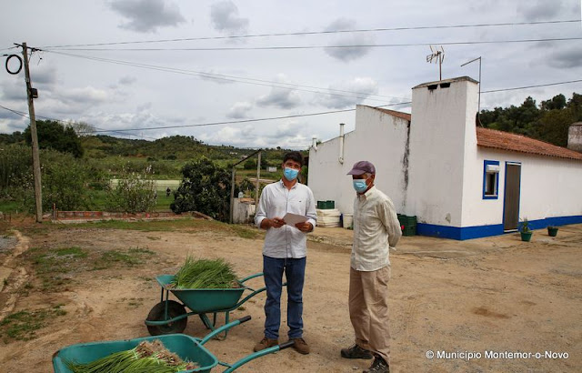 Cebola Roxa de Montemor-o-Novo promovida