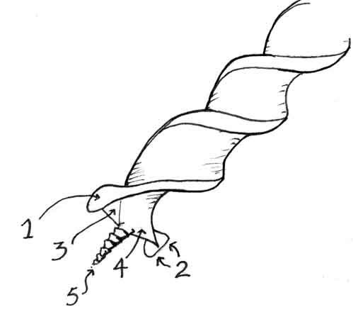 Wood Auger Bits3