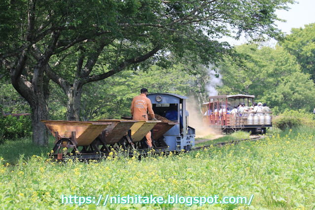 蒸気機関車7号機が牽引するお客さんを乗せた列車の後を、ナベトロ編成が走ります。2022.5.5