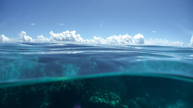 Nice corals can be found underwater