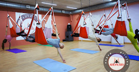 formacion porfesores pilates aereo aero pilates