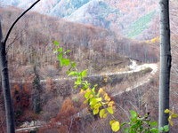 Cesta za Dom na Boču