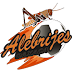 Alebrijes de Oaxaca VS CD Tapatío