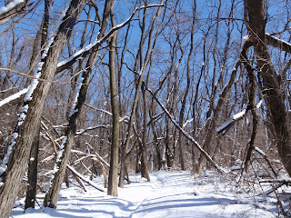 Winter on the trail - Ice Age Trail - Blue Spring Lake Segment