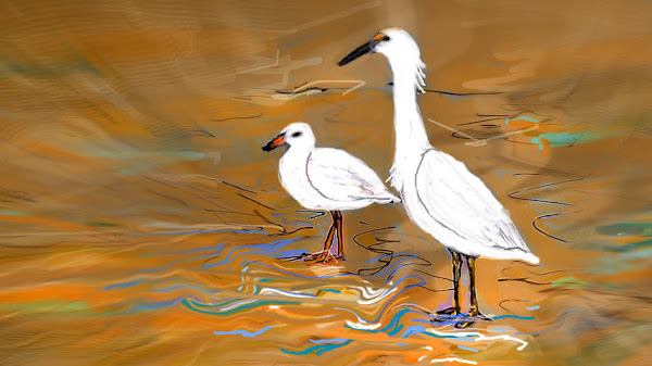 DAILY SKETCH - SHORE BIRDS