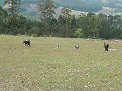 Trekking 2 (87_1) (15)