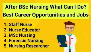 After BSc Nursing What Can I Do? Best Career Opportunities and Jobs in 2023