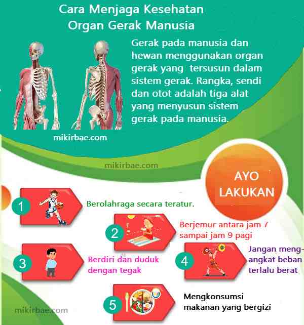 Karyaku Prestasiku Membuat Brosur  Cara Menjaga Organ  Gerak  