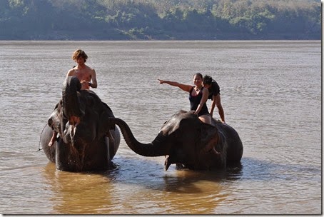Laos Luang Prabang Elephant camp 140201_0154
