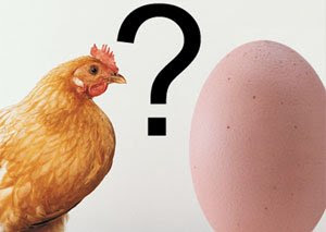 unik-aneh-dunia.blogspot.com - Inilah Jawaban Mana Yang Lebih Dulu Ayam Atau Telur