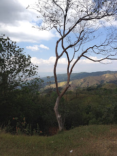 roadside landscape, Costa Rica