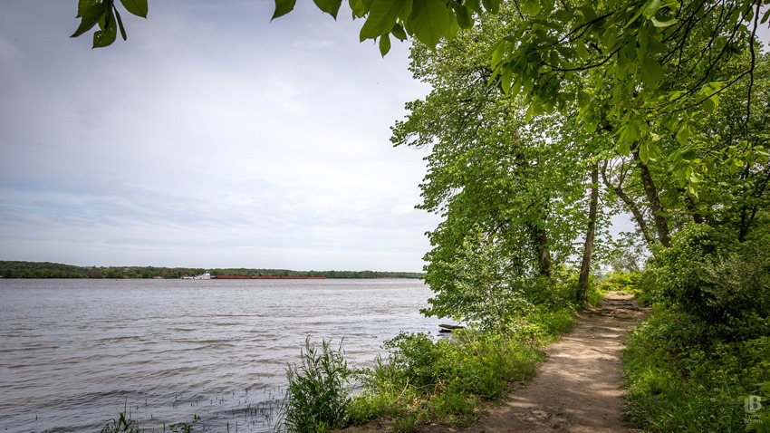 IMG_7616 Illinois River