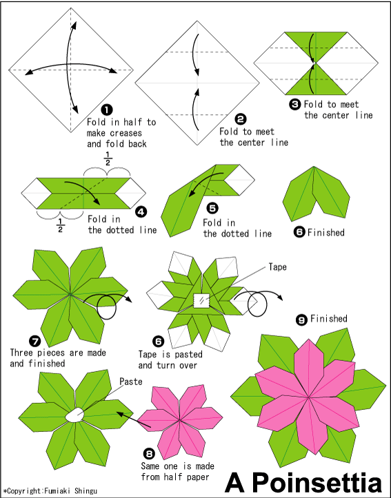 Cara Membuat  Origami  Bunga Sepatu Poinsettia Cara 