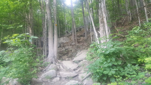 Sentier du ruisseau Deschênes