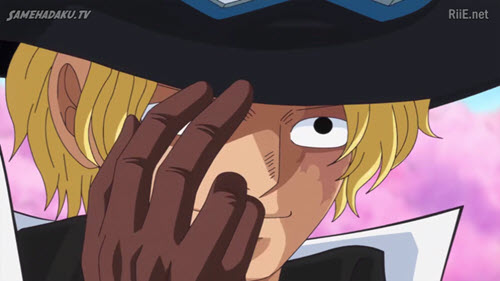 One Piece Episode 880 Subtitle Indonesia