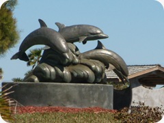 RSCN3323