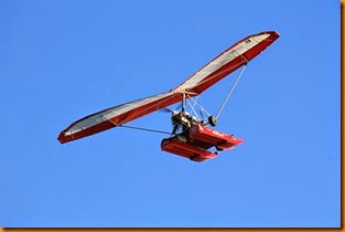 IMG_6452