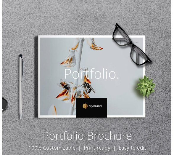 FREE Multipurpose Portfolio Brochure