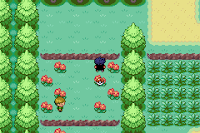 Pokemon Revenge Screenshot 05