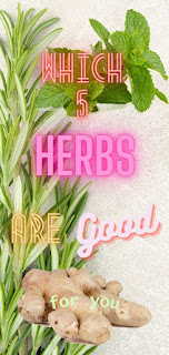 Herbs