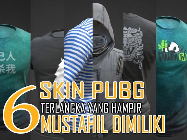 skin PUBG