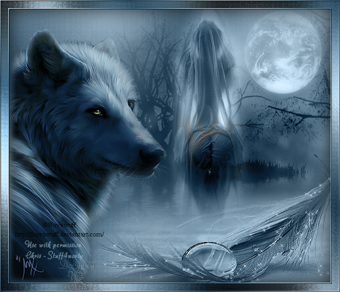 lobos  (7)