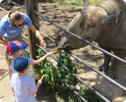 Feeding the Rhino at Cheyenne Mountain Zoo