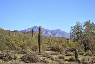 Superstition Mountains in the distance