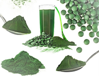 La spiruline se consomme de nombreuses façons indique Frank Bou-Hassira