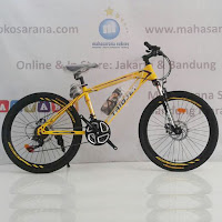 24 triojet iconic 2 junior mountain bike