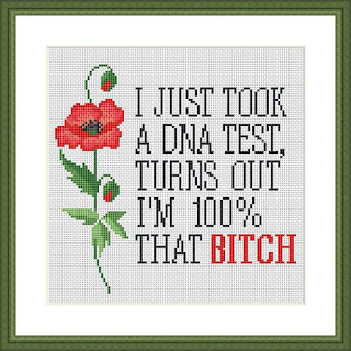 I just took a DNA test cross stitch - Tango Stitch