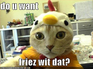 LolCats Image You Want Friez Wif Dat