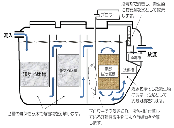 水槽の中にすくった金魚がいる ろ過装置の自作について考えた その２ 浄化槽について調べた