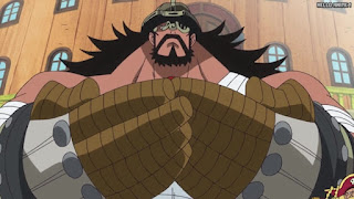 ワンピースアニメ 新巨兵海賊団 ハイルディン Hajrudin ONE PIECE New Giant Warrior Pirates