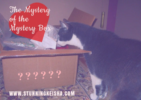 The Mystery of the Mystery Box