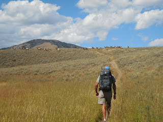 Fawn Pass, Yellowstone National Park